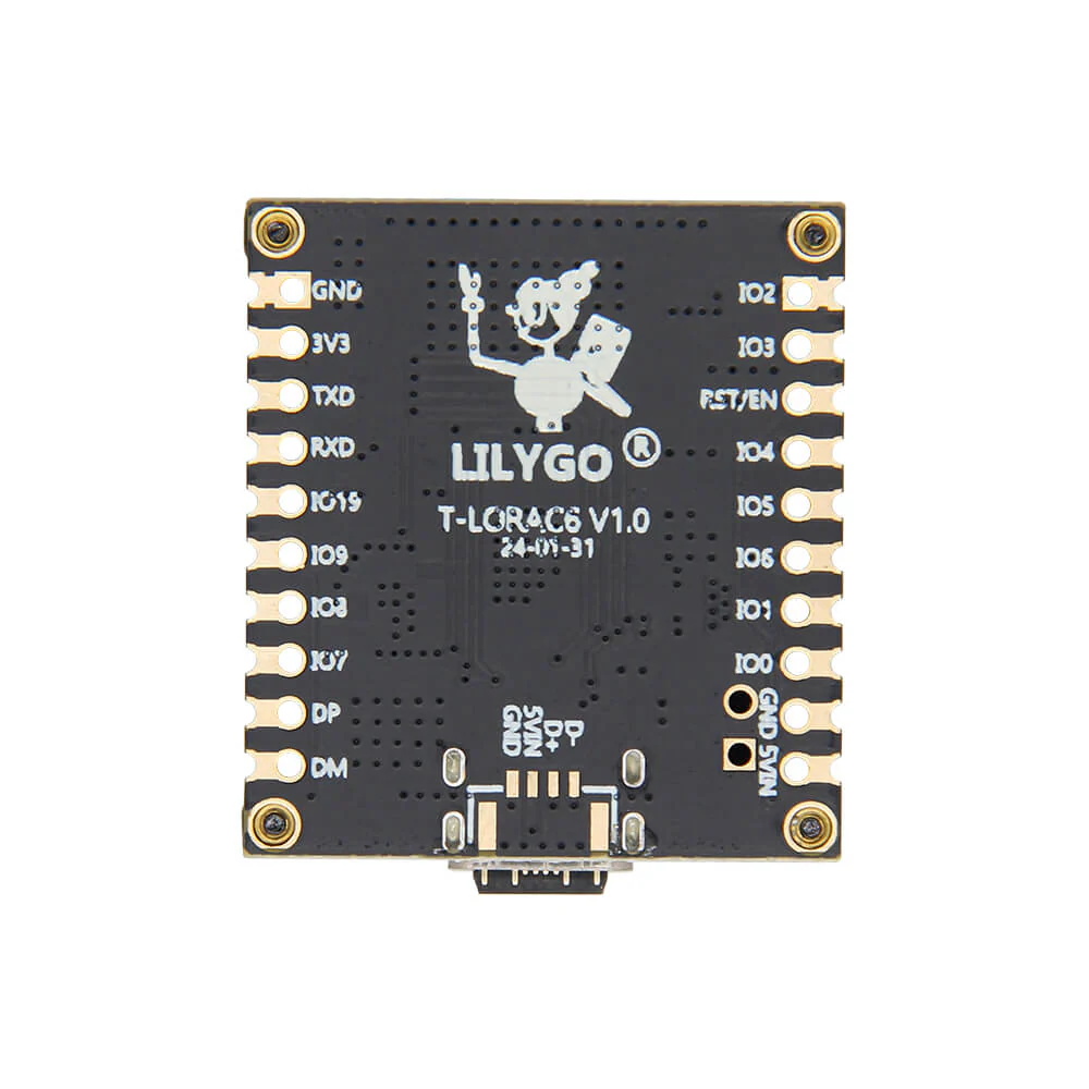 T-Lora C6 - Image 4